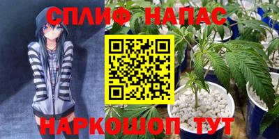 a pvp Будённовск