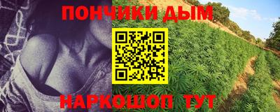 a pvp Будённовск